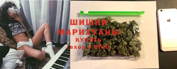 прущие грибы Каменск-Шахтинский