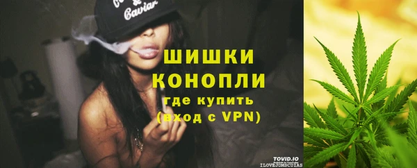 прущие грибы Каменск-Шахтинский