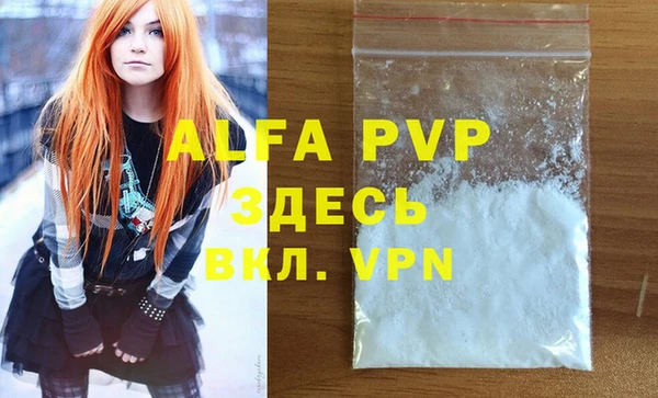 прущие грибы Каменск-Шахтинский