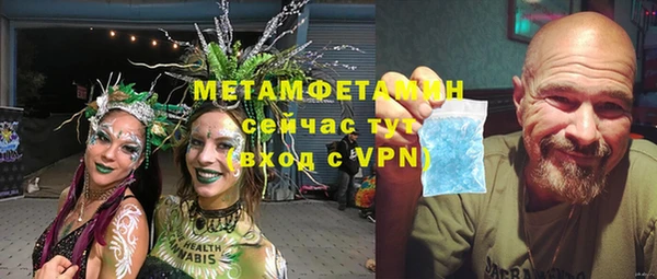 прущие грибы Каменск-Шахтинский