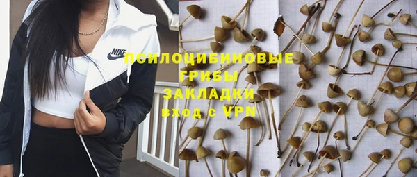 прущие грибы Каменск-Шахтинский