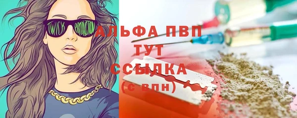 прущие грибы Каменск-Шахтинский
