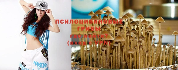 ALPHA PVP Каменногорск